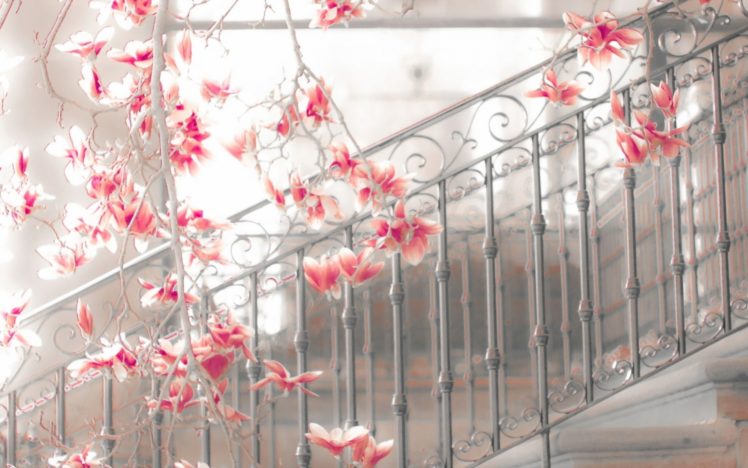 magnolia, Steps, Flowers, Blossoms, Mood, Stairs, Architecture HD Wallpaper Desktop Background
