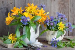 flowers, Yellow, Blue, Vase