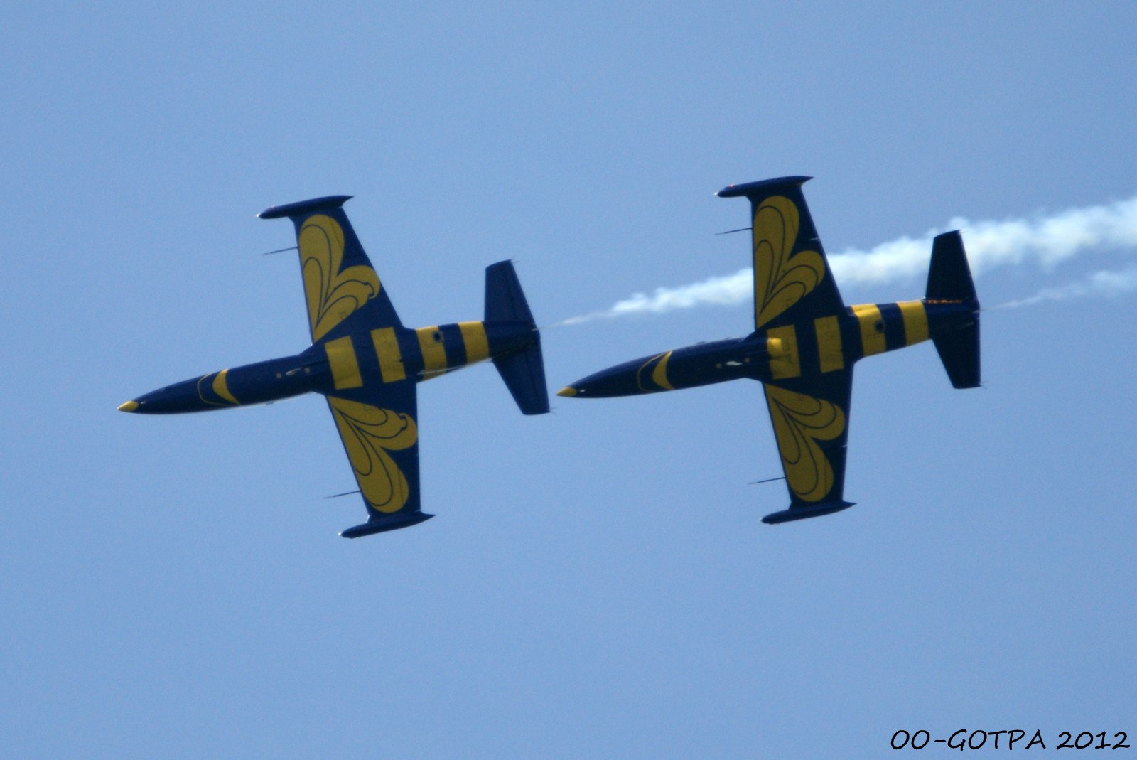 aero, L 39, Albatros, Baltic, Bees, Jet, Team, Acrobatic Wallpaper