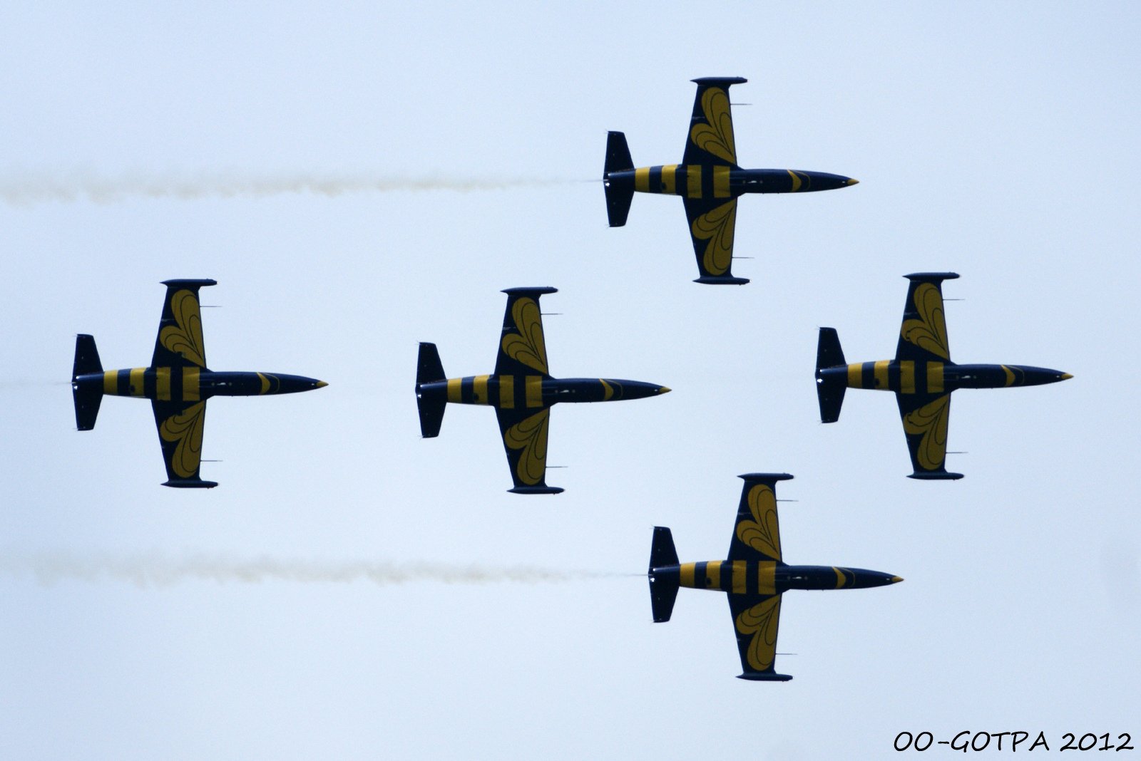 aero, L 39, Albatros, Baltic, Bees, Jet, Team, Acrobatic Wallpaper