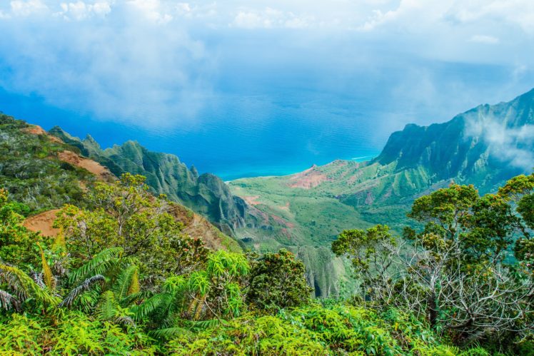 kalalau, Lookout, Kauai, Hawaii, Tropical, Jungle, Forest, Sea, Ocean HD Wallpaper Desktop Background