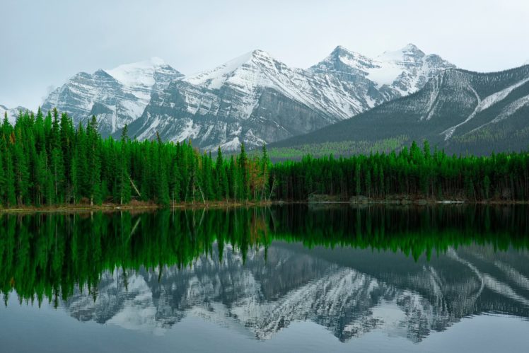 reflection, Lake, Banff, Herbert, Lake, Mountains HD Wallpaper Desktop Background