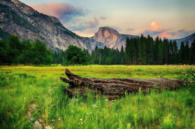 mountains, Trees, Landscape HD Wallpaper Desktop Background