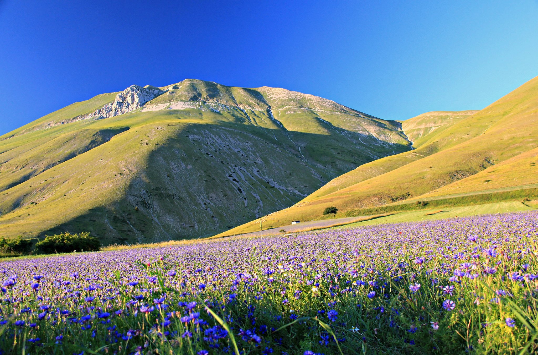 landscapes, Nature, Wallpaper Wallpaper