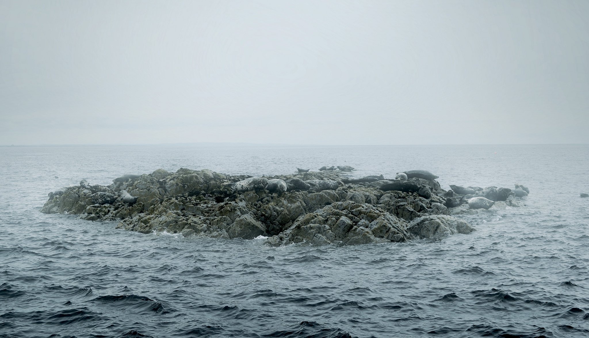 landscapes, Nature, Wallpaper Wallpaper