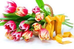 tulips, Flowers, Red, Yellow, Buquet