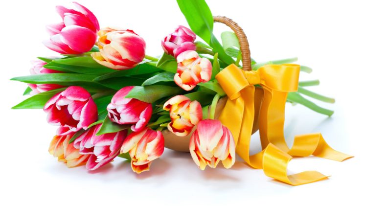 tulips, Flowers, Red, Yellow, Buquet HD Wallpaper Desktop Background