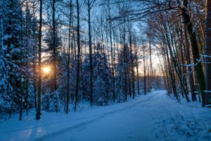 winter, Nature, Forest, Sunset, Sky