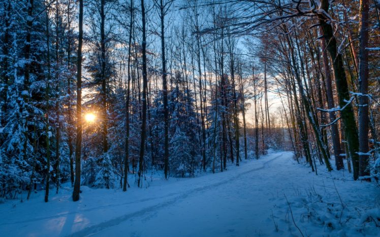winter, Nature, Forest, Sunset, Sky HD Wallpaper Desktop Background