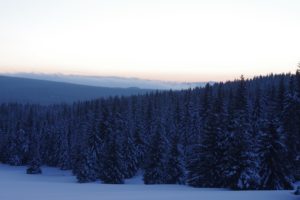 nature, Winter, Snow, Blue, Trees