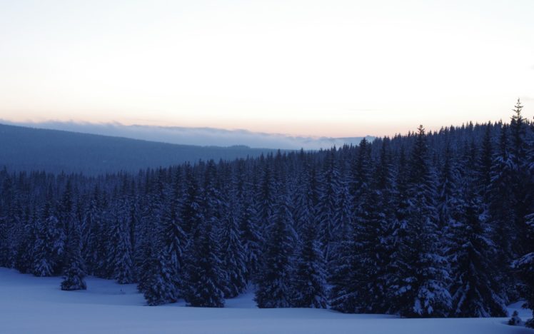 nature, Winter, Snow, Blue, Trees HD Wallpaper Desktop Background