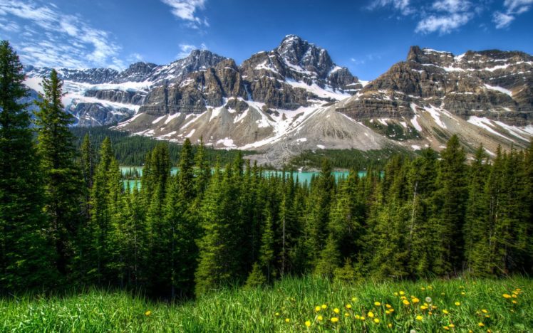 mountain, Green, Forest, Nature, Lake, Snow HD Wallpaper Desktop Background