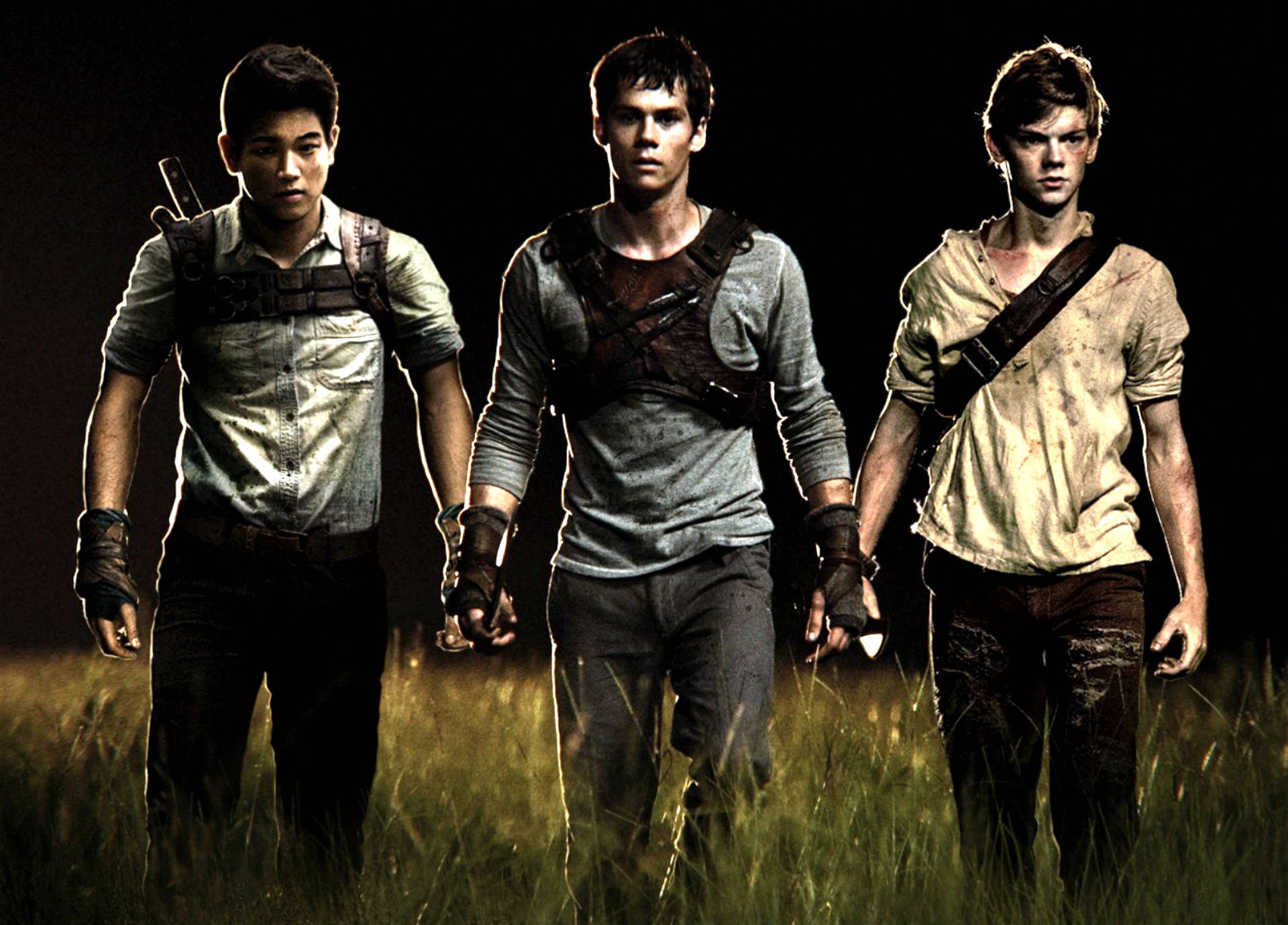 the, Maze, Runner, Action, Mystery, Thriller, Sci fi Wallpapers HD