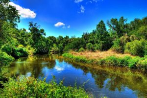 river, Nature, Sky, Forest
