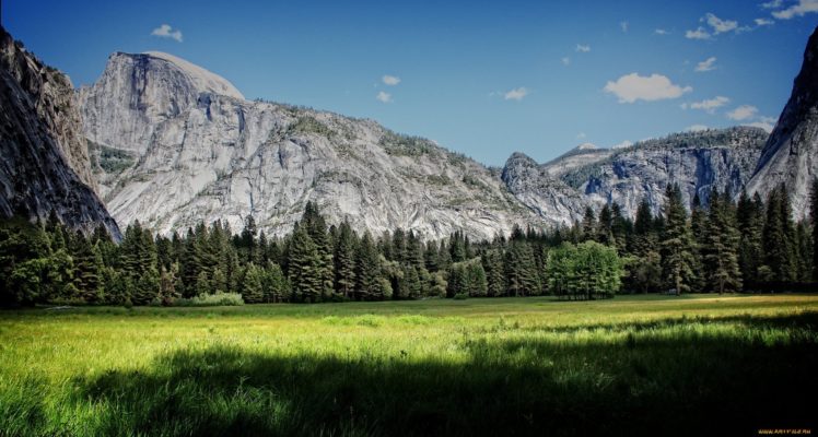 mountain, Forest, Nature, Green HD Wallpaper Desktop Background