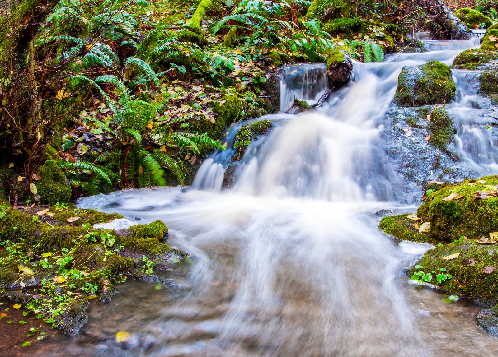 nature, Wallpapers, Waterfalls, Canada Wallpaper
