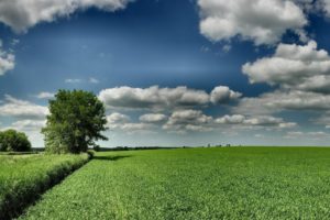 filed, Sky, Clouds, Blue, Green, Nature
