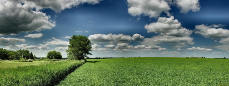 filed, Sky, Clouds, Blue, Green, Nature HD Wallpaper Desktop Background