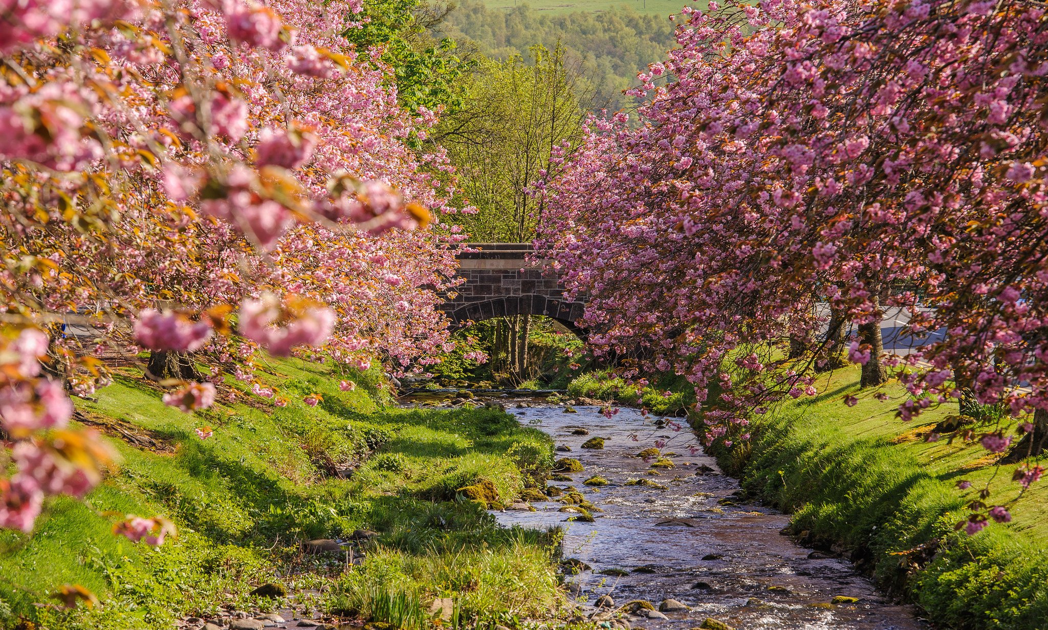 bridge, Rivers, Nature, Water, Architecture, Rock, Iron, Landscapes, City, Wallpaper Wallpaper