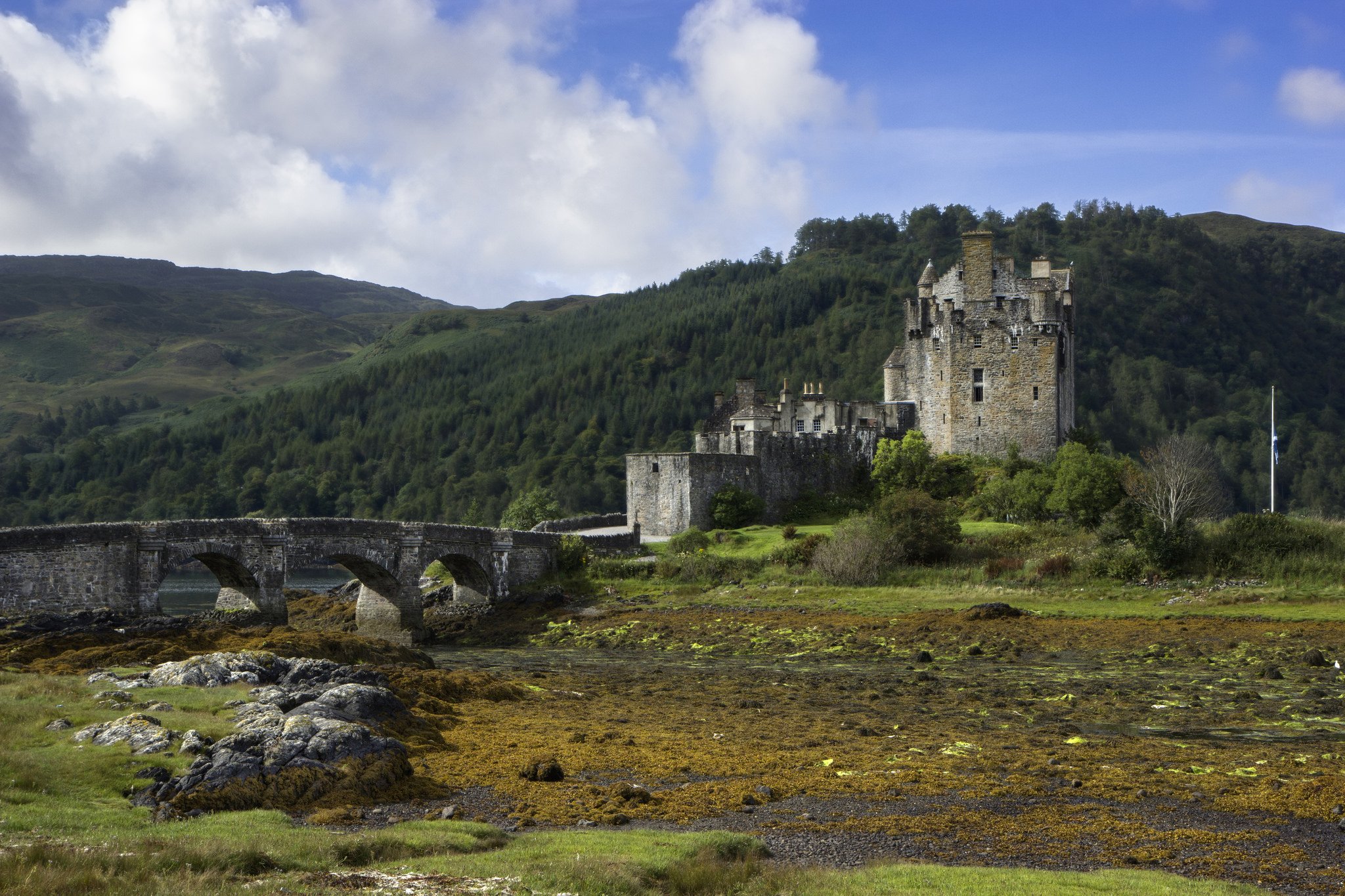 rivers, Nature, Water, Architecture, Rock, Castle, Wallpaper, England Wallpaper