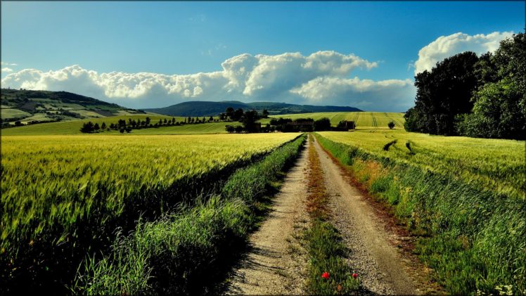 road, Nature, Sky, Green, Far HD Wallpaper Desktop Background