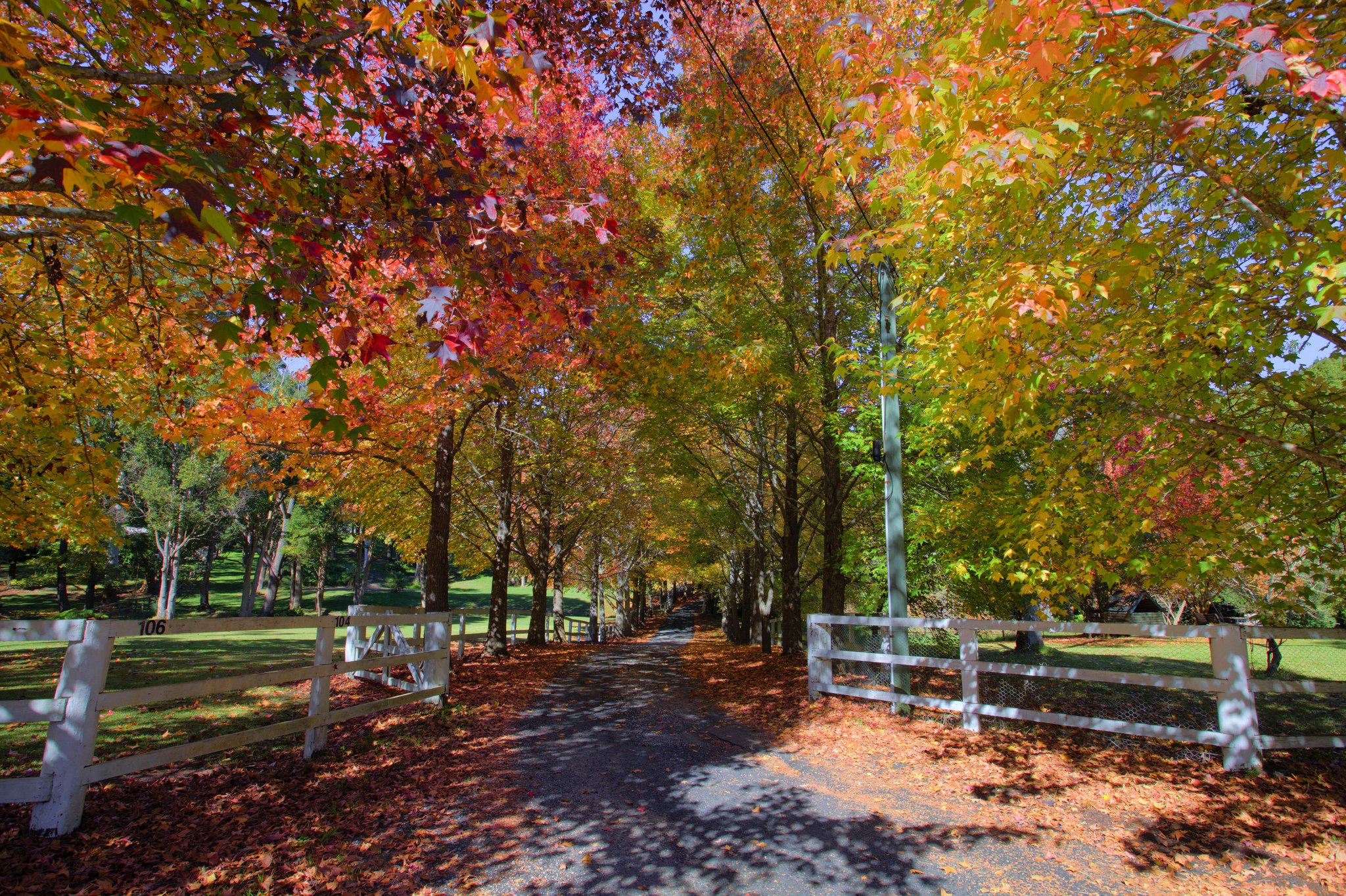 automne, Season, Nature, Landscapes, Rain, Fall, Wallpapers, Leaf, Tree, Campaign, Wet Wallpaper