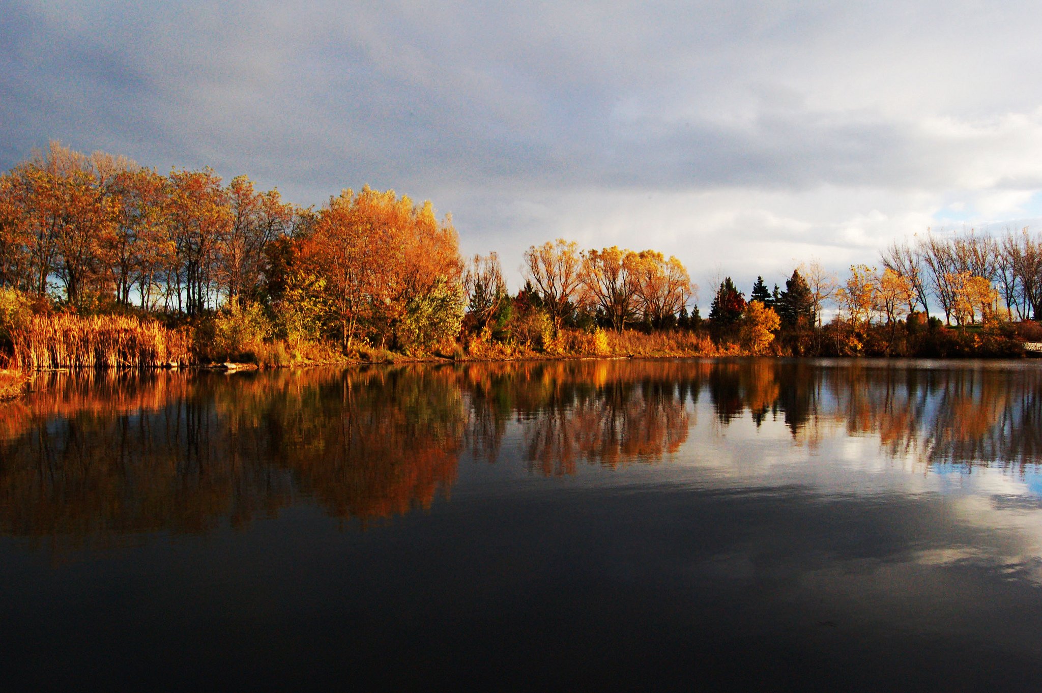 automne, Season, Nature, Landscapes, Rain, Fall, Wallpapers, Leaf, Tree, Campaign, Wet Wallpaper