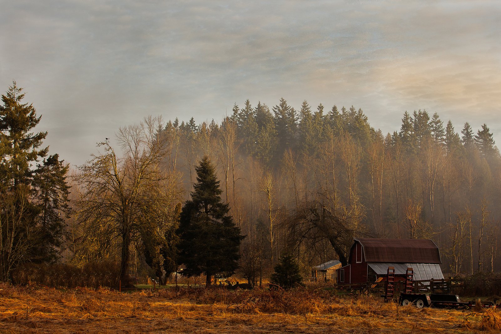 automne, Season, Nature, Landscapes, Rain, Fall, Wallpapers, Leaf, Tree ...