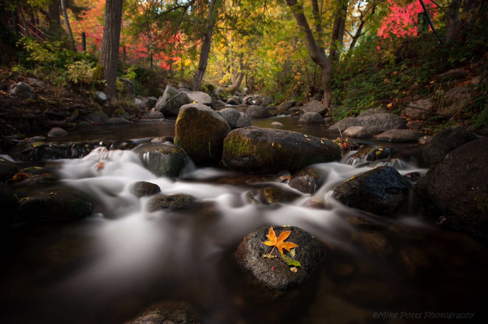 automne, Season, Nature, Landscapes, Rain, Fall, Wallpapers, Leaf, Tree, Campaign, Wet Wallpaper