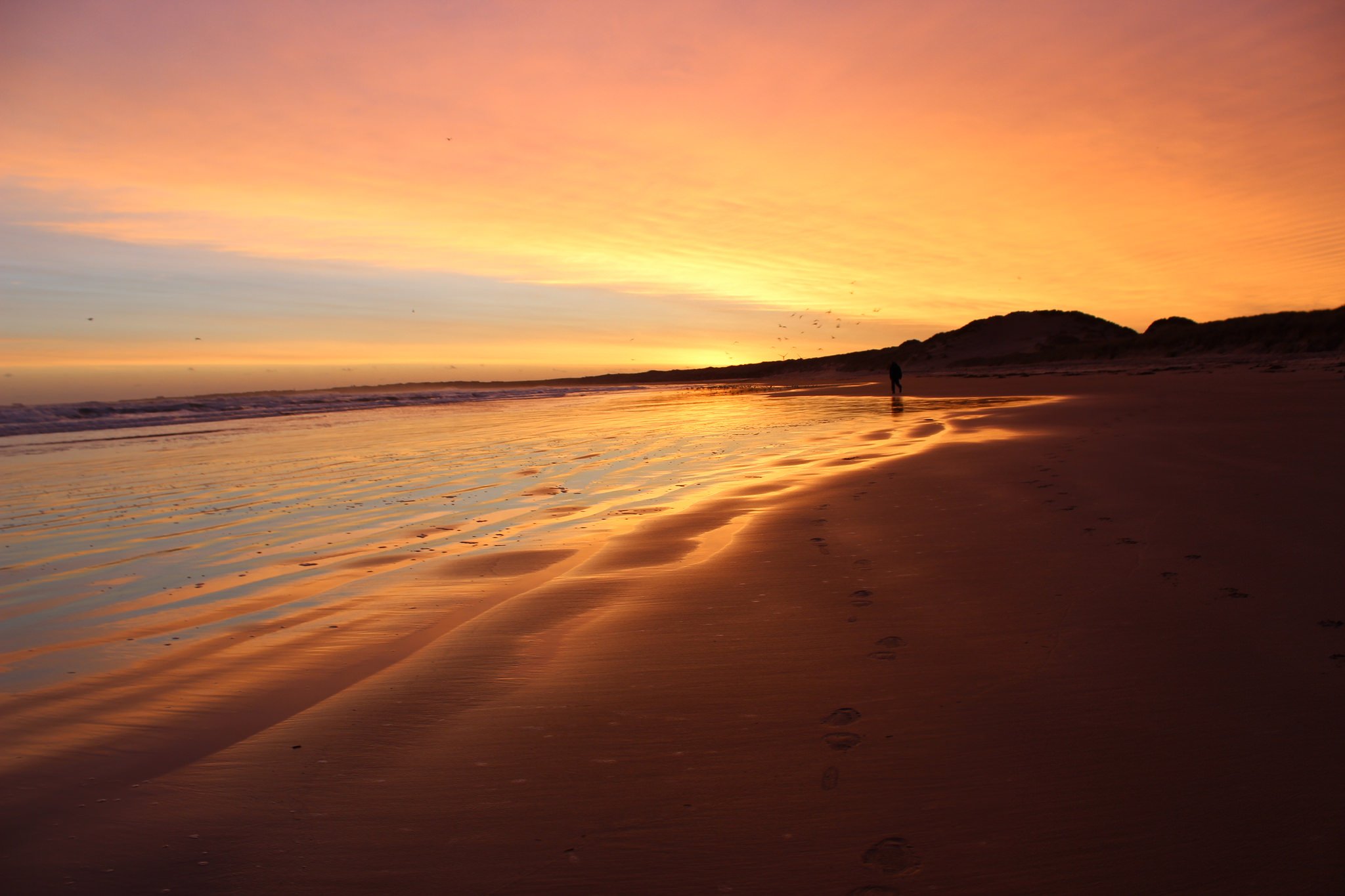 ocean, Beaches, Season, Nature, Landscapes, Wallpapers, Summer, Sunrises, Sunsets, Zibeline Wallpaper