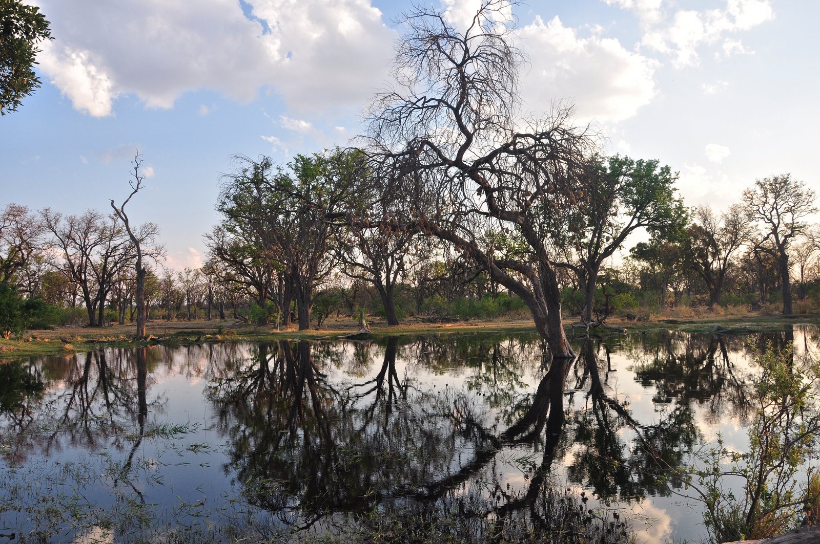 Forests Lakes Mountains Reflection Nature Landscapes Water Trees