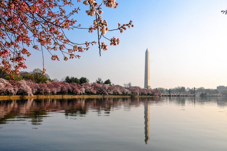 buildings, Monuments, Reflection, States, United, Usa, Washington HD Wallpaper Desktop Background