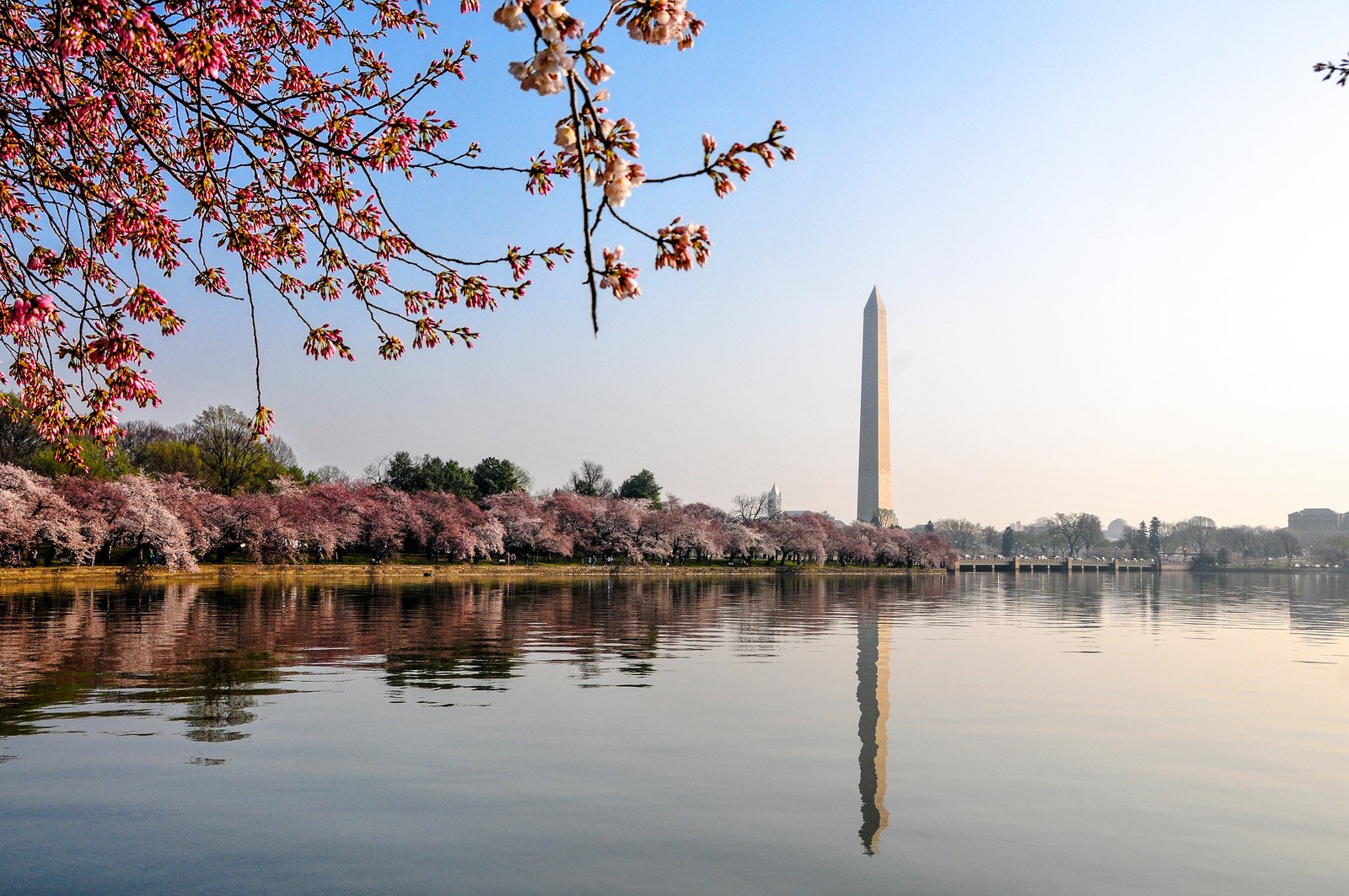 buildings, Monuments, Reflection, States, United, Usa, Washington Wallpaper