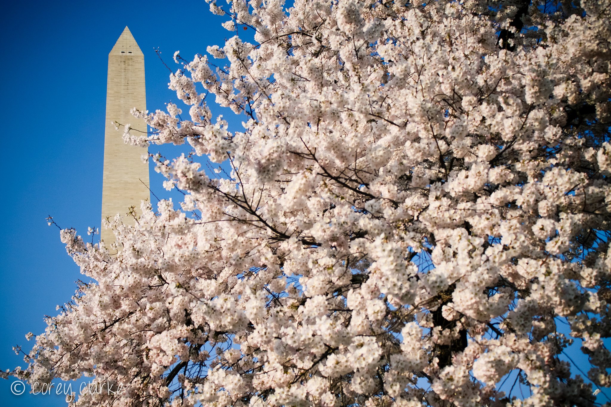 buildings, Monuments, Reflection, States, United, Usa, Washington Wallpaper