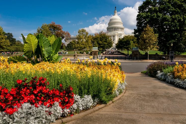 buildings, Monuments, Reflection, States, United, Usa, Washington HD Wallpaper Desktop Background
