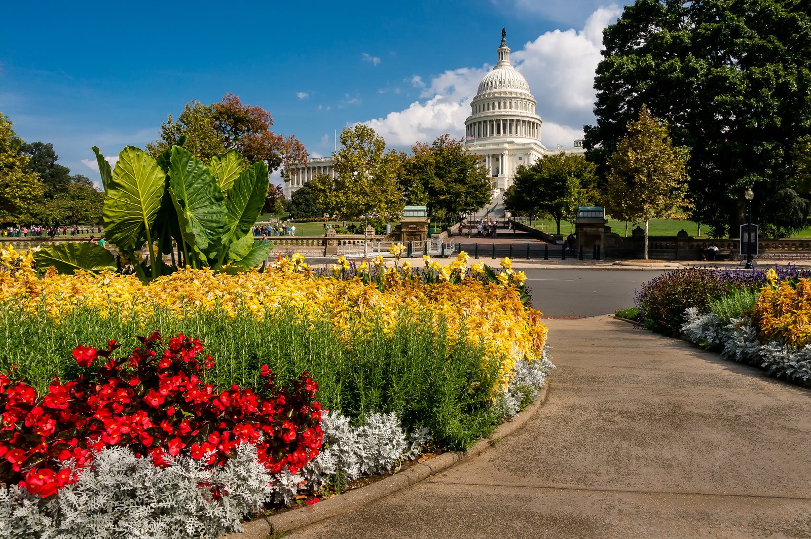 buildings, Monuments, Reflection, States, United, Usa, Washington Wallpaper