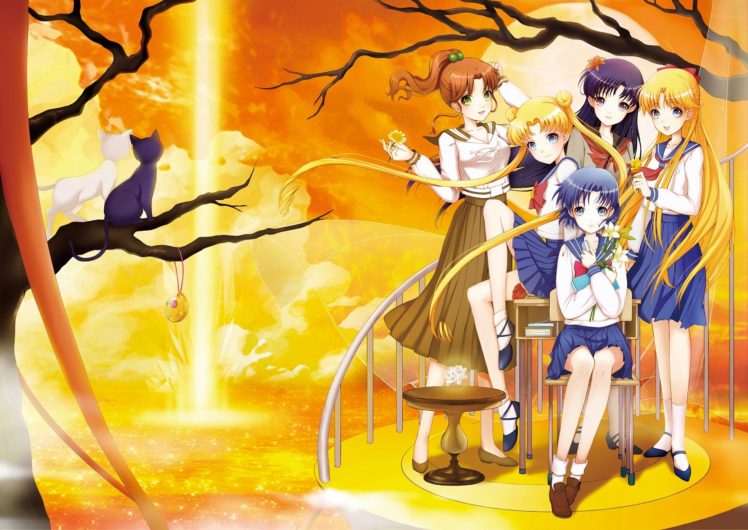group, Sailor, Moon, Sunset, Merkur, Ja HD Wallpaper Desktop Background
