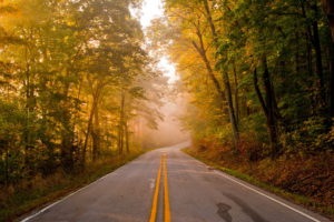 roads, Trees, Forest, Autumn, Fall