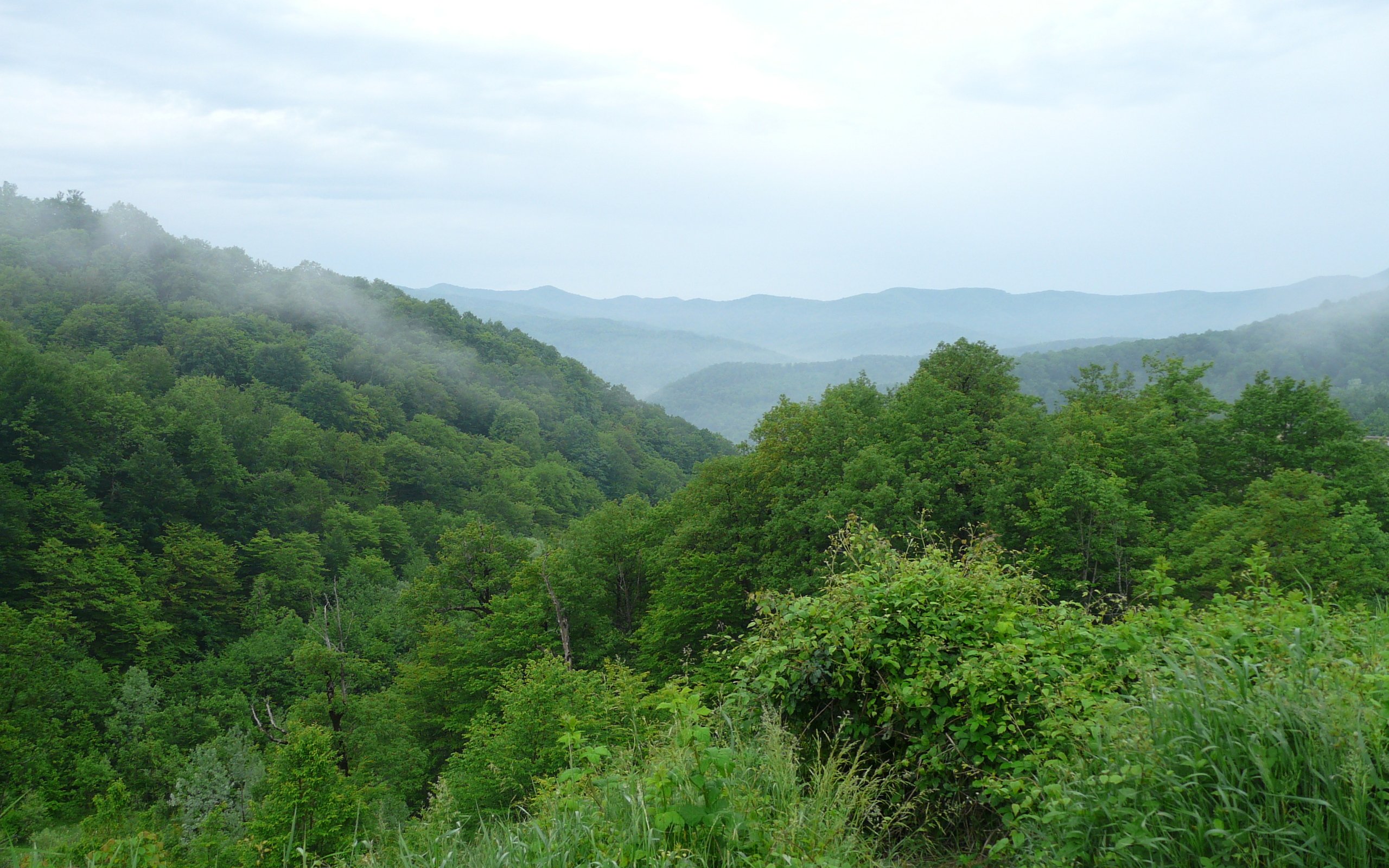 mountains, Wild, Nature, Rocks, Rivers, Lakes, Green Wallpaper
