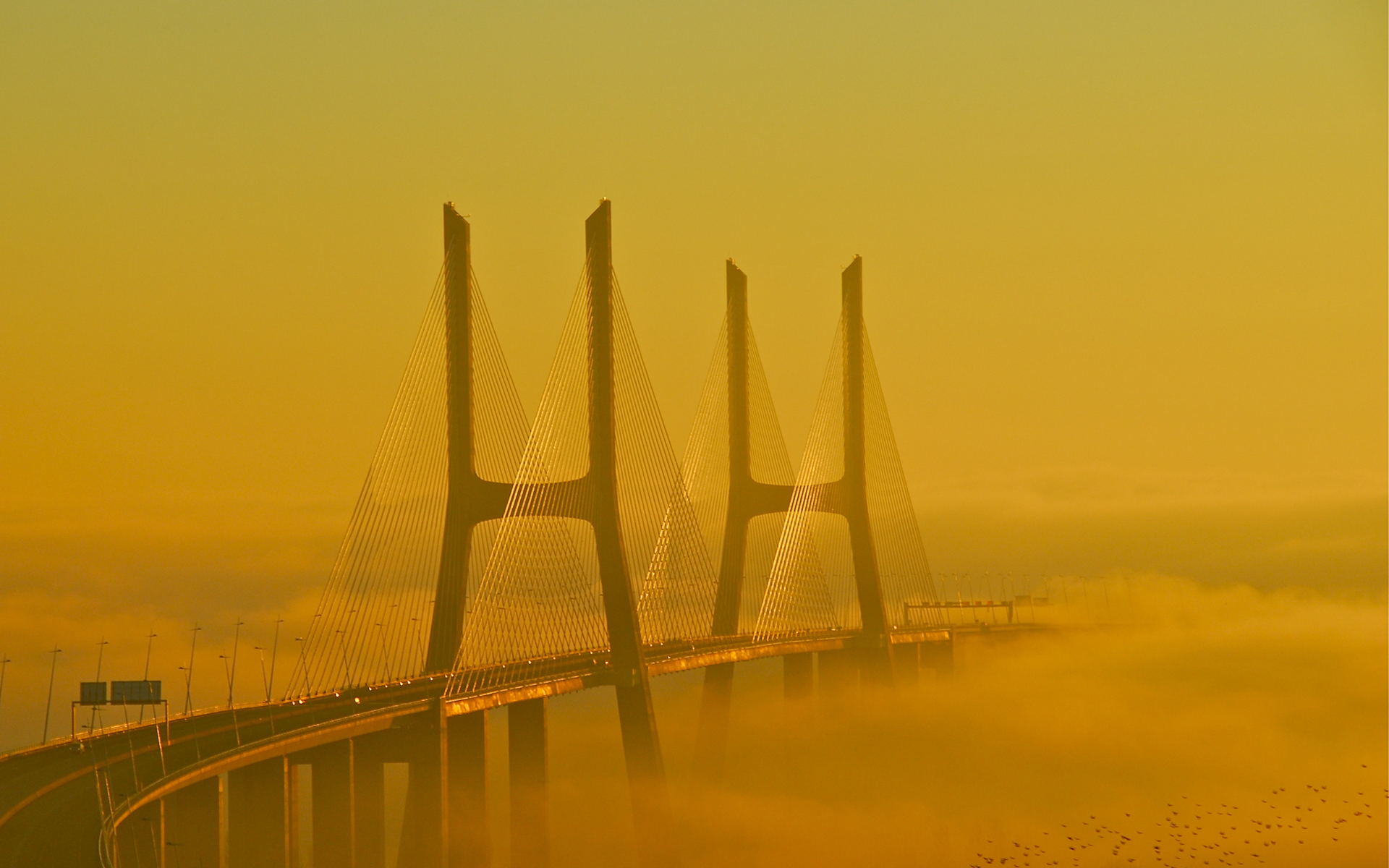 bridge, Fog Wallpaper