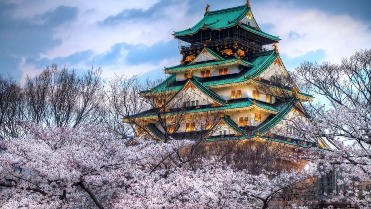 cherry, Blossom, Asian, Building, Tree, Building HD Wallpaper Desktop Background