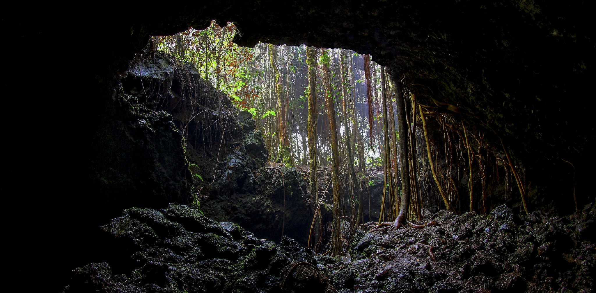 cave, Entrance, Grotto, Land, Sous, Stalagmites, Terre Wallpaper