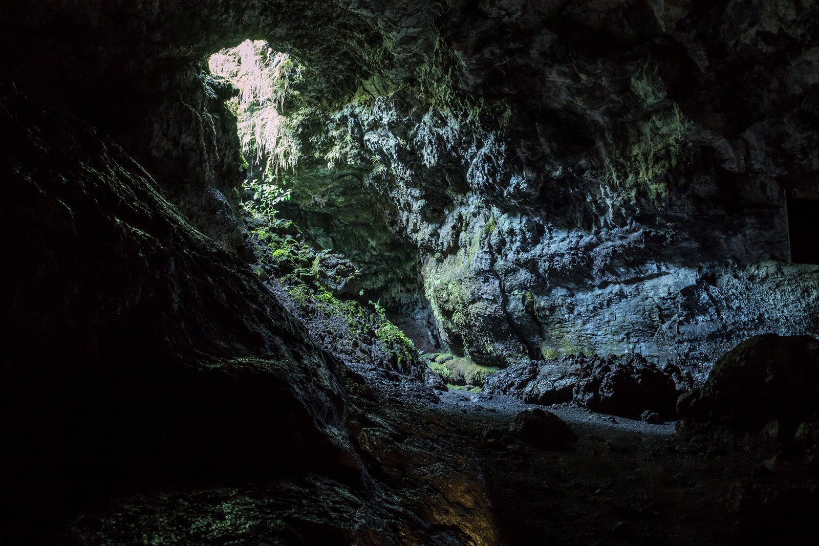 cave, Entrance, Grotto, Land, Sous, Stalagmites, Terre Wallpaper