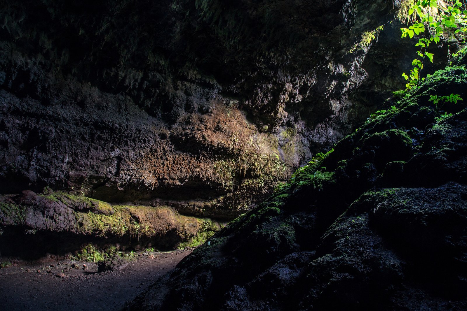 cave, Entrance, Grotto, Land, Sous, Stalagmites, Terre Wallpaper
