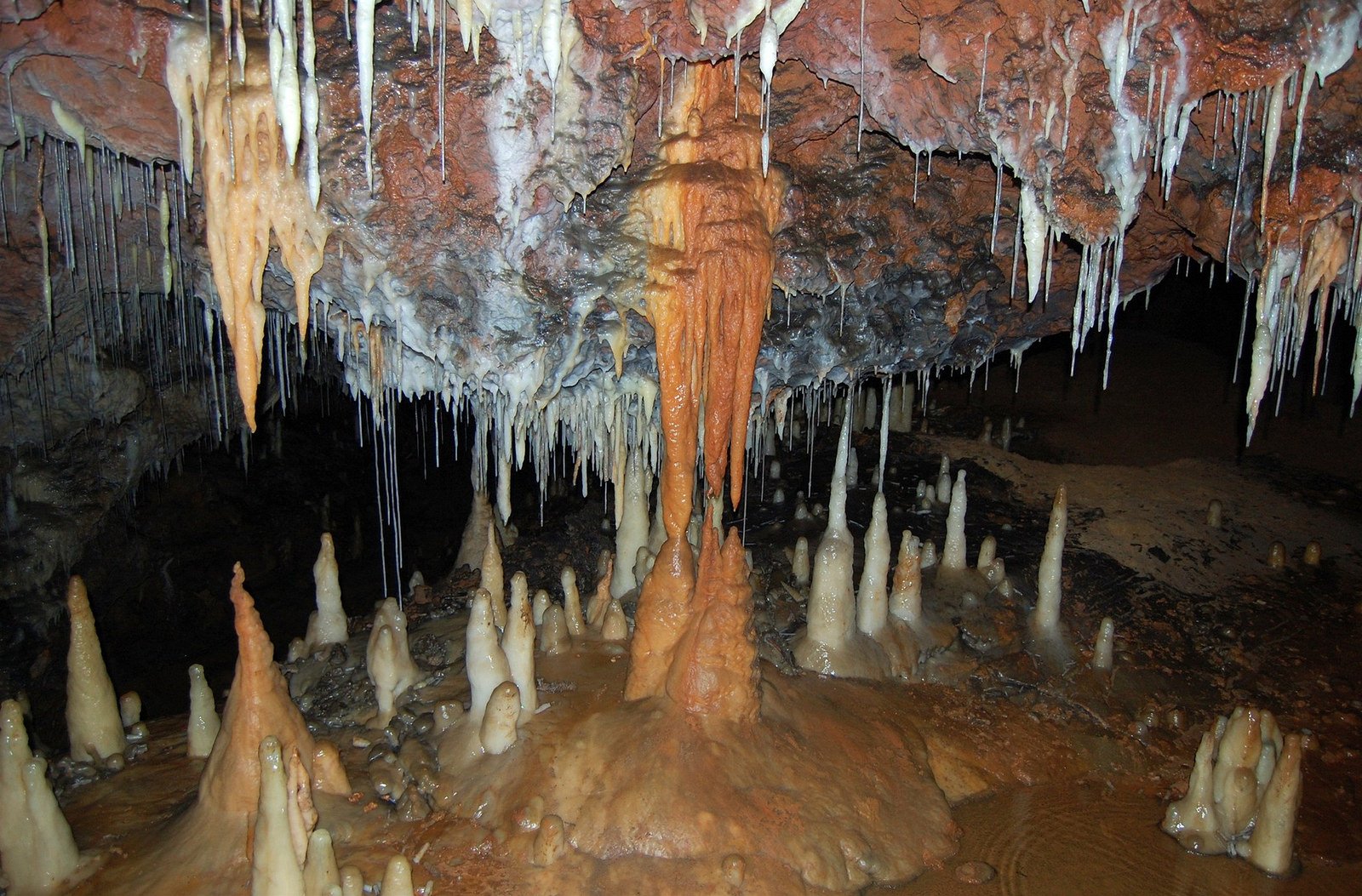 cave, Entrance, Grotto, Land, Sous, Stalagmites, Terre Wallpaper