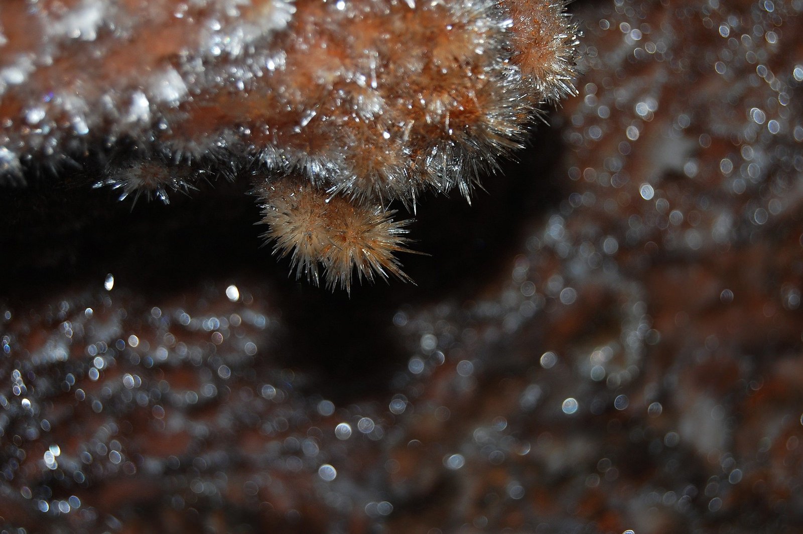 cave, Entrance, Grotto, Land, Sous, Stalagmites, Terre Wallpaper