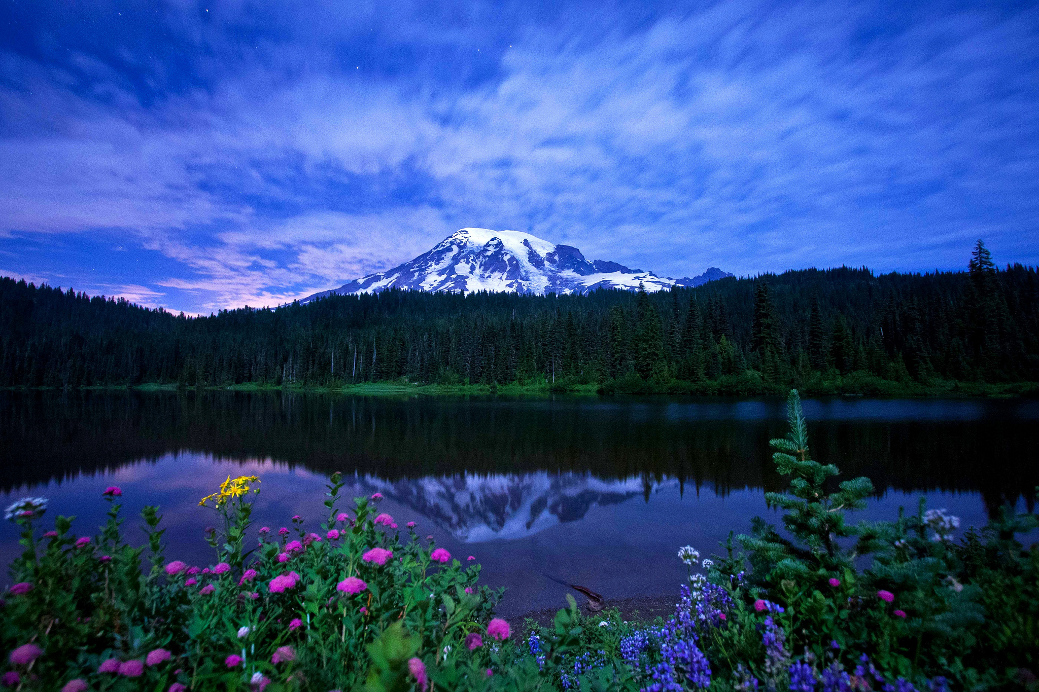 flowers, Lakes, Mountains, Sky, Reflection, Trees Wallpaper