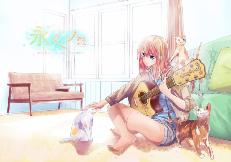 guitar, Cats, Anime, Girl, Blue, Eyes, Music HD Wallpaper Desktop Background