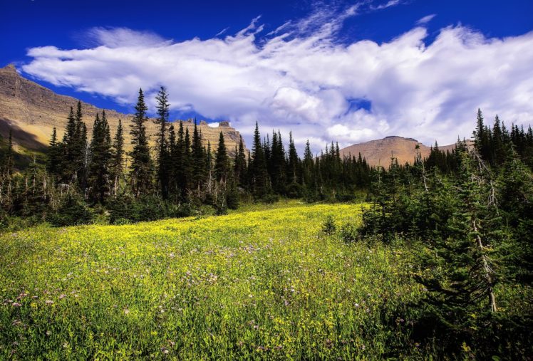mountains, Trees, Sky, Landscape HD Wallpaper Desktop Background