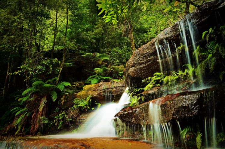 forest, Waterfall, Trees, Nature HD Wallpaper Desktop Background